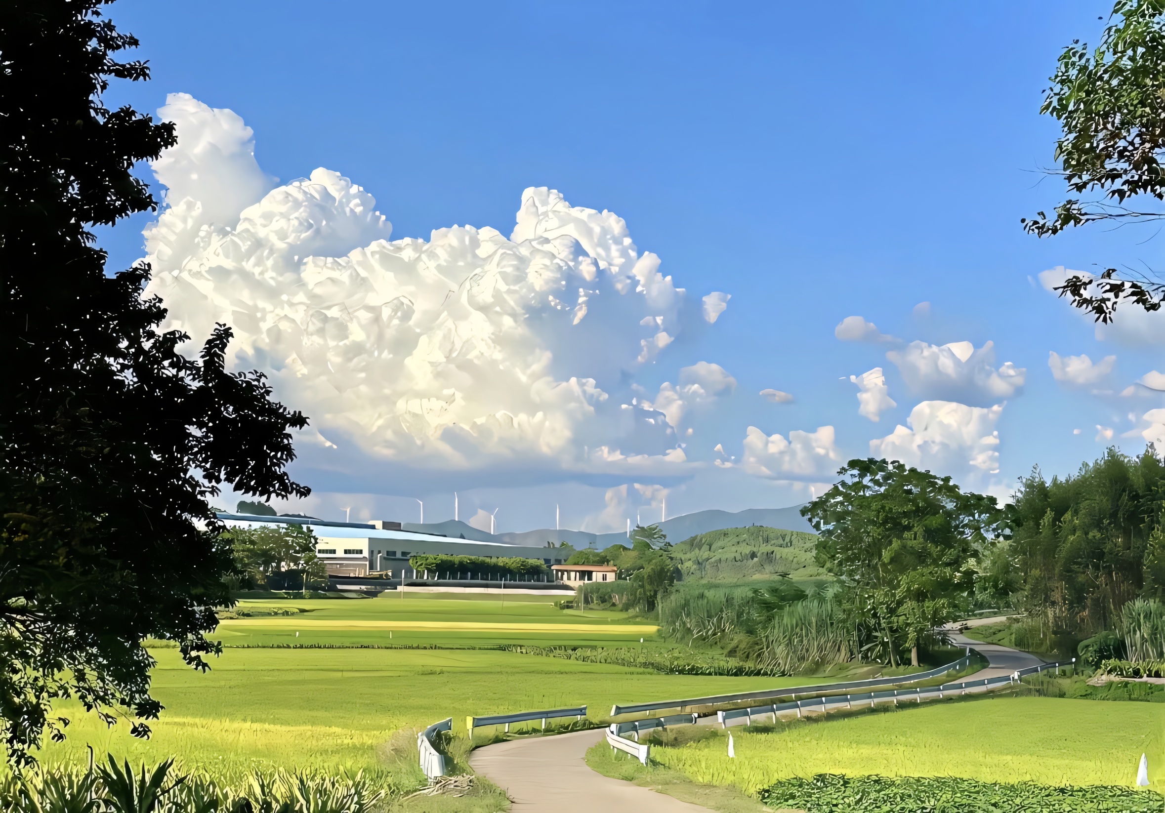 思维的土壤：从文本细读走向表达训练的教育实践——对高一年级的写作训练课有感