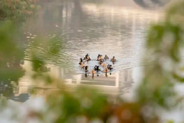 归园田居处，荷塘月色时--常州北郊高中语文实习总结